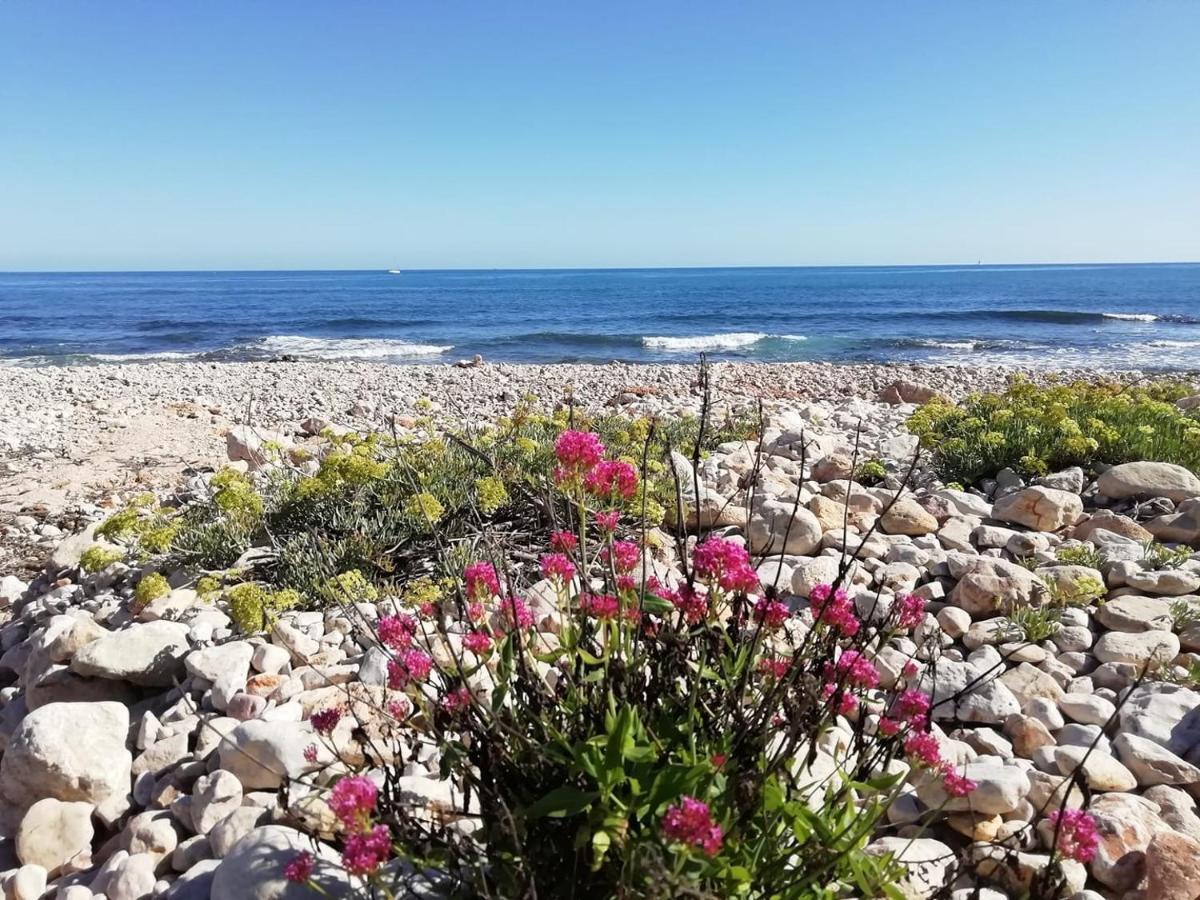 شقة Denia Playa Montanas Y Mucho Mas المظهر الخارجي الصورة